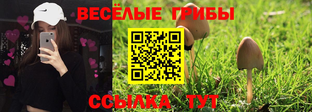 Канаш  Псилоцибиновые грибы прущие грибы  Вход с VPN 