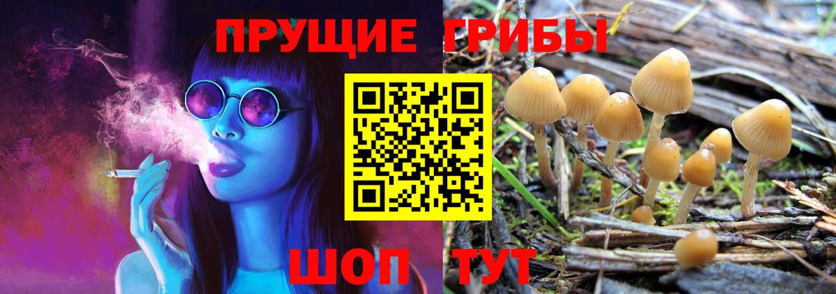 Галлюциногенные грибы Magic Shrooms Канаш